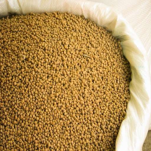 HIGH QUALITY PROTEIN SOYBEAN MEAL