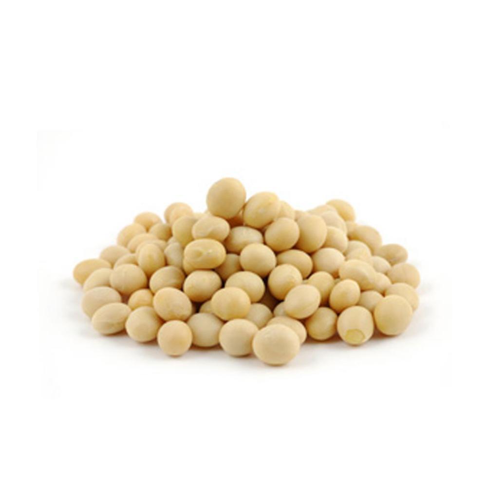 well dried ready to ship soy beans