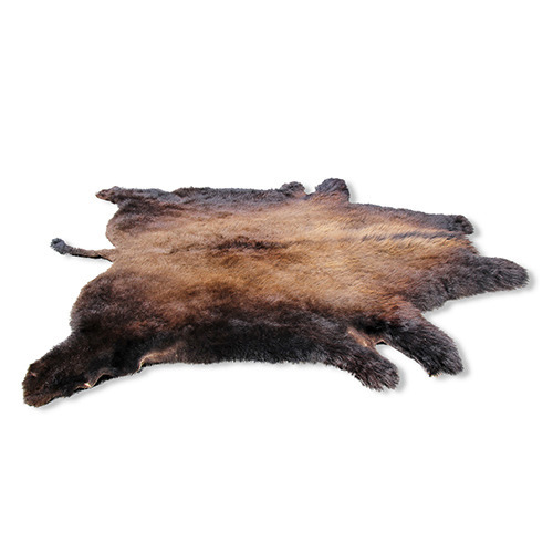 Cow Hides