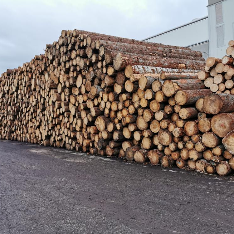 Деревянные бревна, бревна из березы, бревна из ели