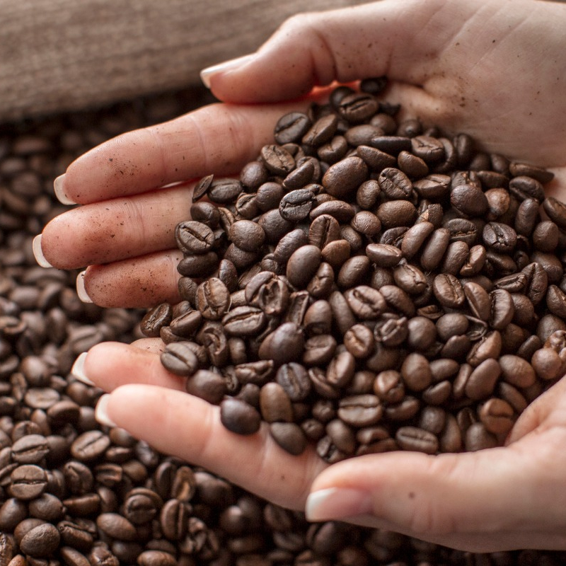Arabica coffee
