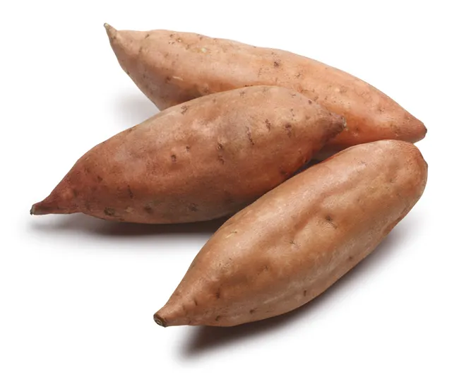 Hot Sale Of Newly Cultivated Organic Fresh Sweet Potatoes