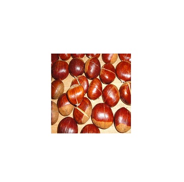 Certified Dried chestnut for sale chestnut price per kg