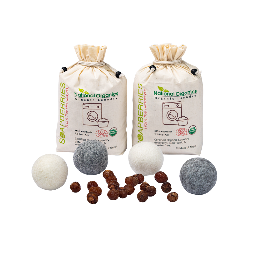 Ракушки Sapindus Mukorossi, органические сертифицированные ракушки из Непала