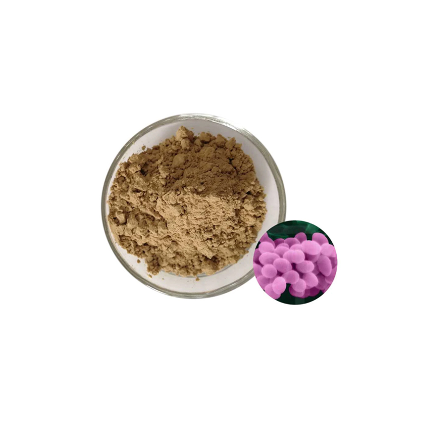 Производитель пробиотиков, лучшие пробиотики Bacillus Pumilus-Zealmax Biopharma