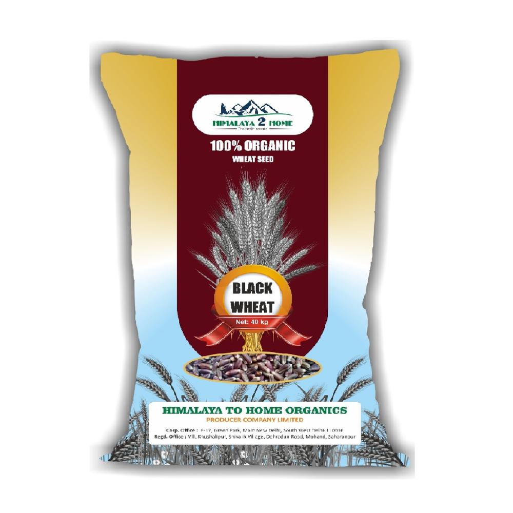 Black wheat seeds