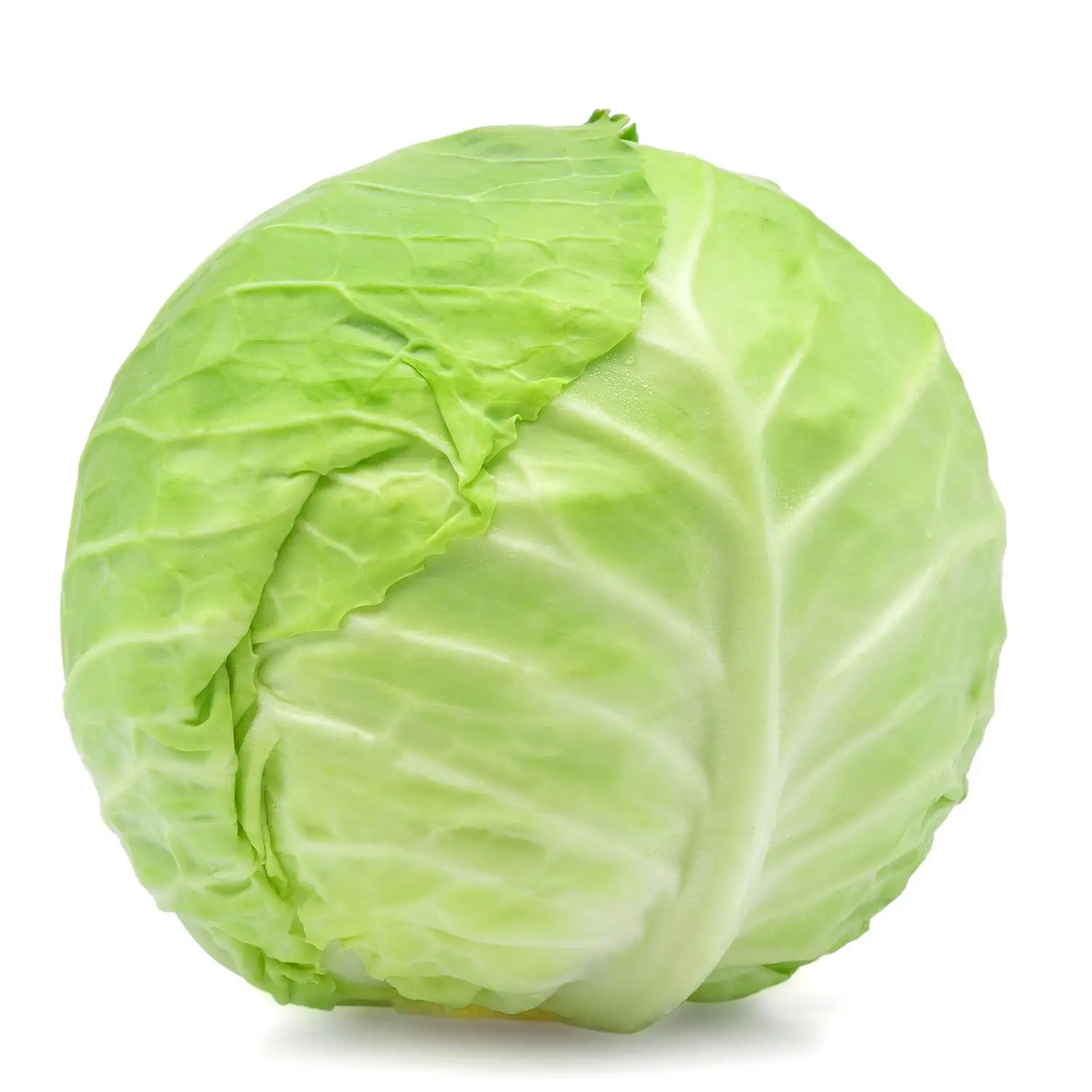 2021 new crop fresh Chinese cabbage with low price and high quality