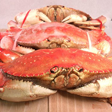 Горячая Распродажа, крабы из живой грязи, синие крабы, королевские крабы/Живые морепродукты/замороженный Королевский краб.