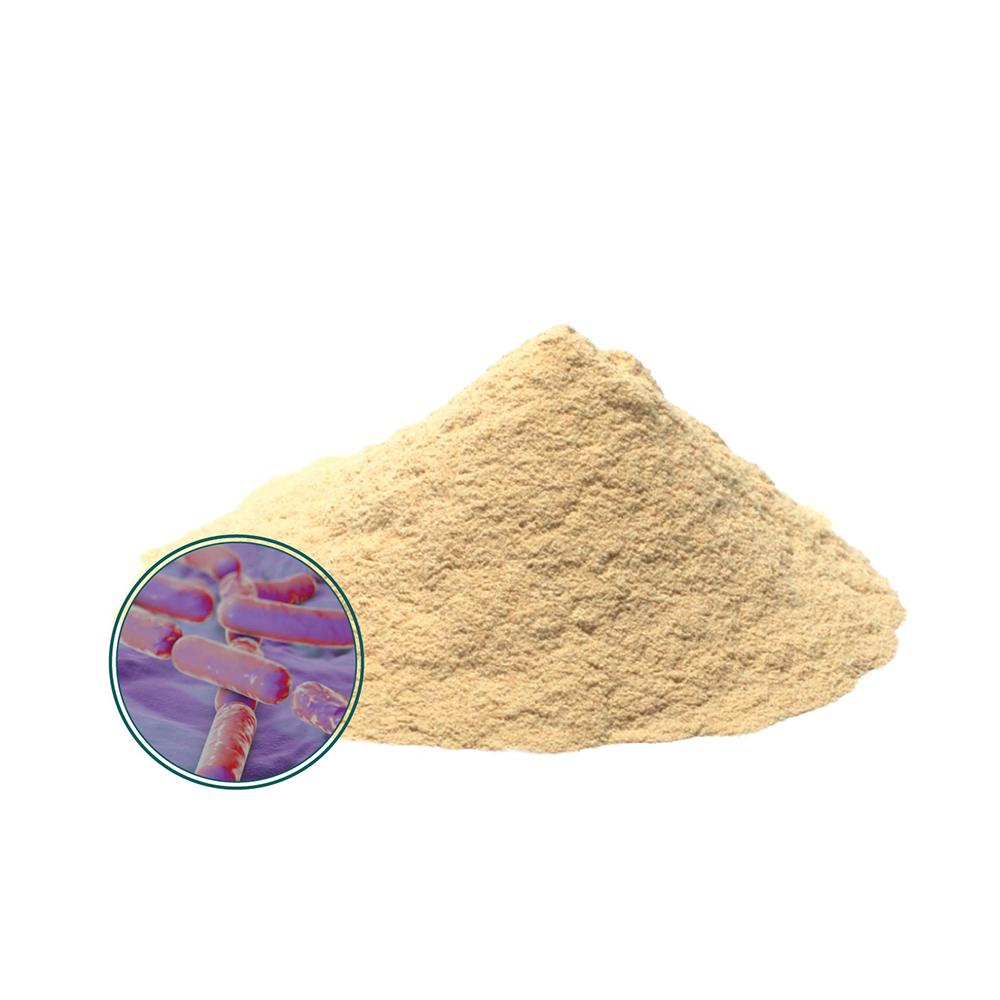Массовый поставщик пробиотиков Bacillus Clausii из Индии-Zealmax Biopharma