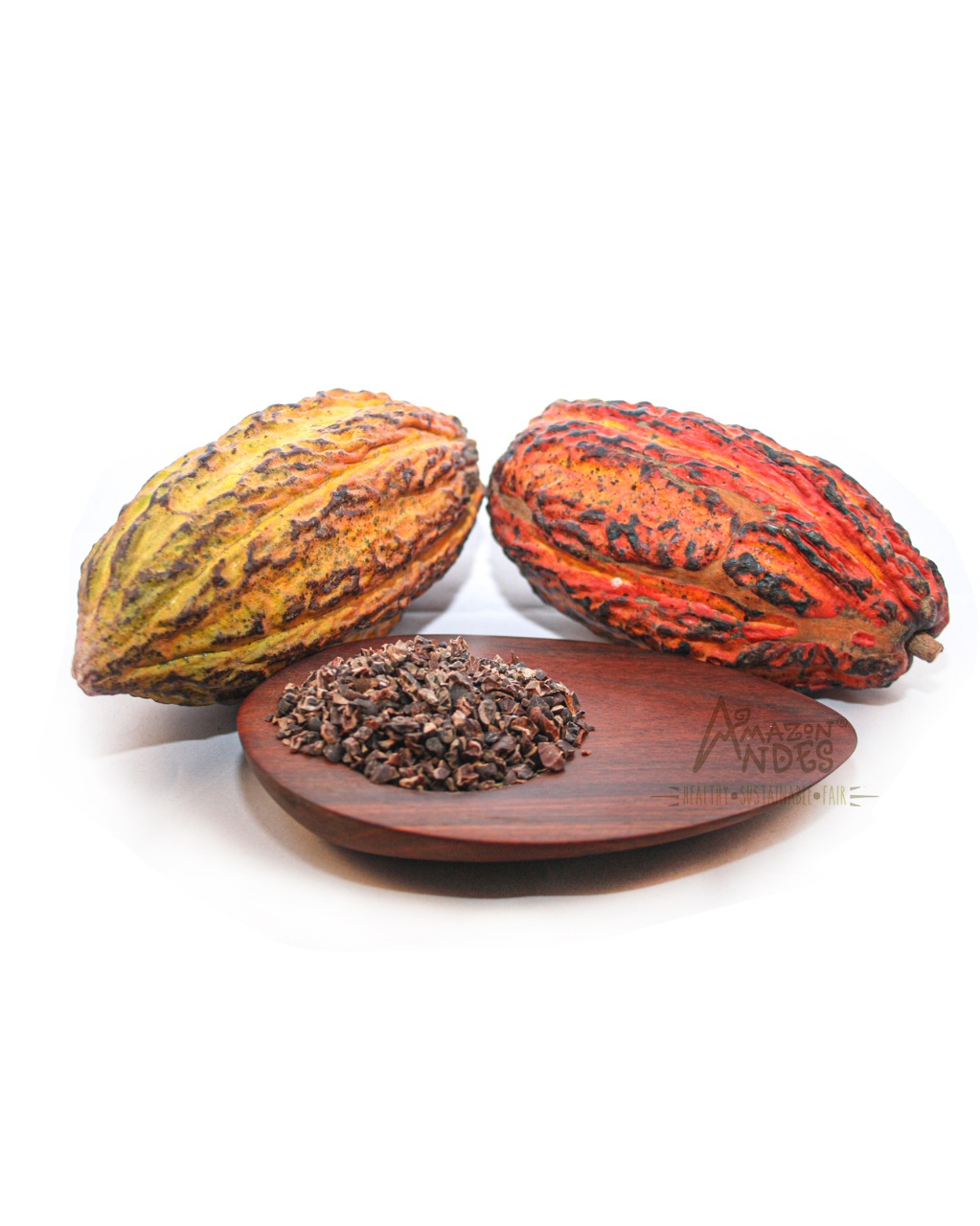 100% Pure and Organic Raw Cacao Nibs at Affordable Price