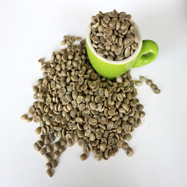 Лучшие продажи поставщики кофейных зерен Robusta