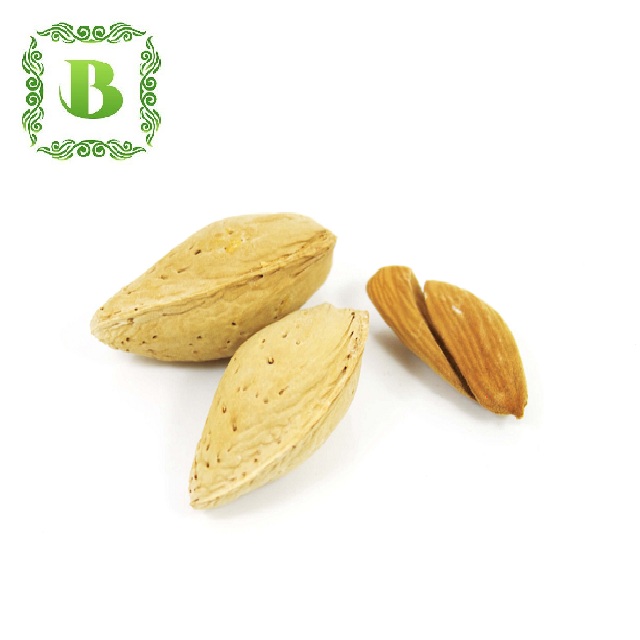 high quality organic almond Mamra