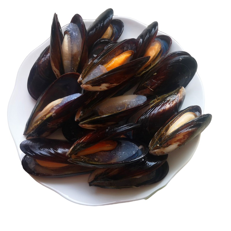 Новая 2021 замороженная моллюска (Mytilus Edulis) зеленая Mussel из Новой Зеландии