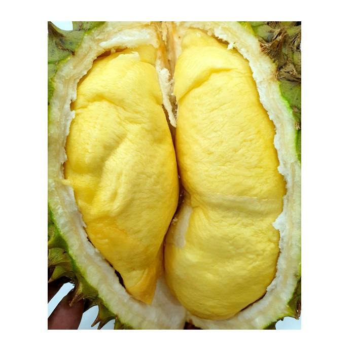 Оптовая цена-Премиум IQF MONTHONG/ RI6 DURIAN, урожай из Вьетнама-конкурентоспособная цена/мисс Триш + 84 984 696 874 (WHATSAPP)