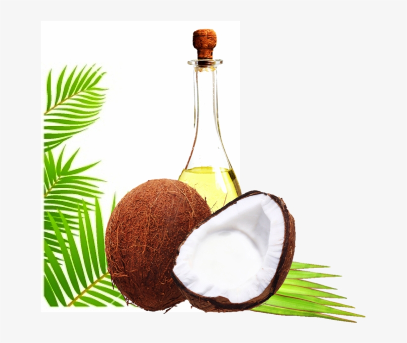 Indian Organic Virgin Coconut Oil Wholesaler