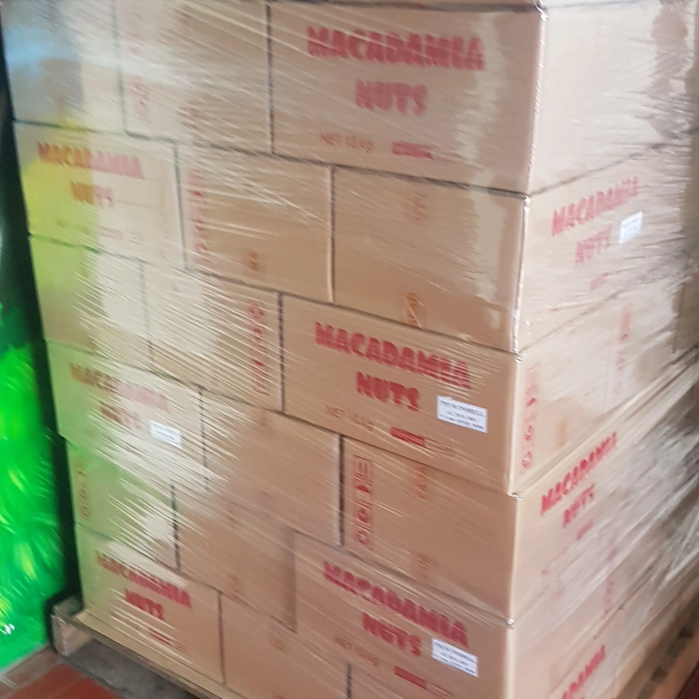 13 18mm Macadamia Nuts available for sales
