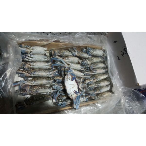 Nutritious Blue Crab