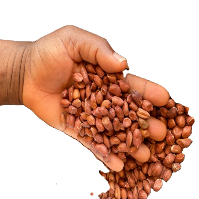 High Quality Blanched Peanut Kernels Kernel Blanched Peanut Ground Nuts Peanuts from Benin West Africa 1X20 FEET 0.1% Max 2% Max