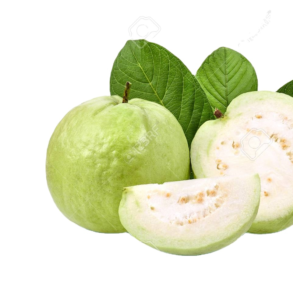 FRESH GUAVA FRUIT FOR SALE VIETNAM