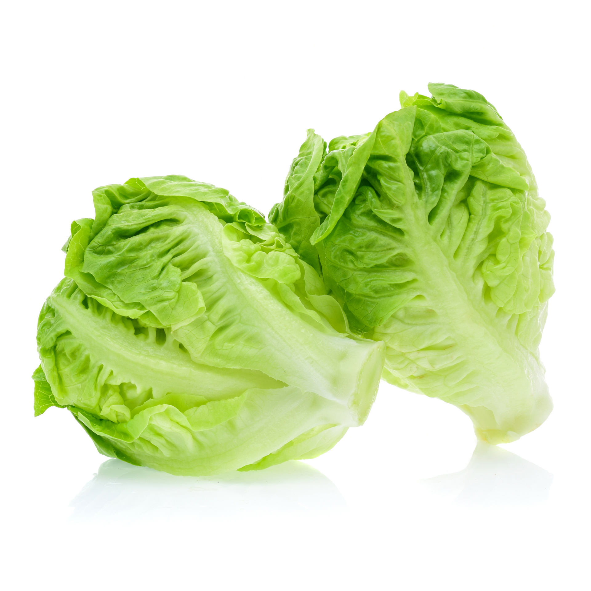 Lettuce - High quality