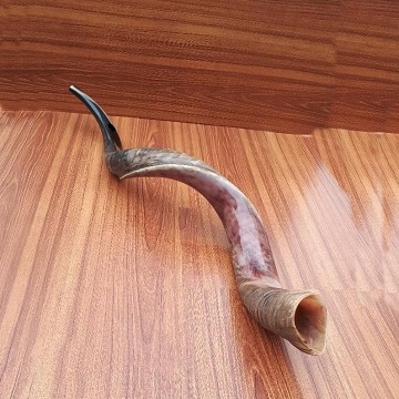 Традиционная кошерная Натуральная отделка, рог Rams Shofar