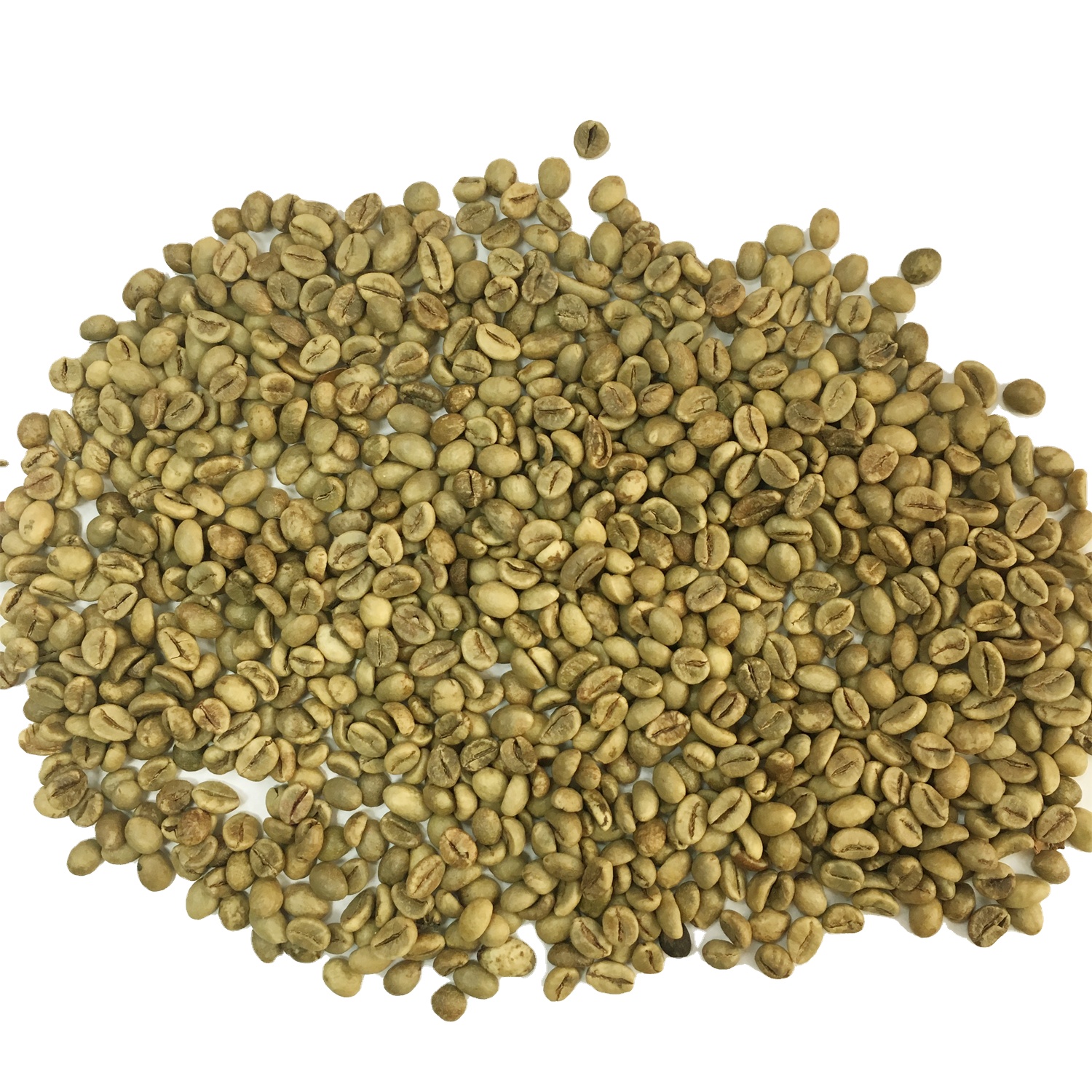 Экспорт качества Robusta зеленый кофе в зернах из Вьетнама/Азии товаров