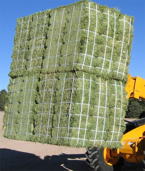 100% Natural Alfalfa Hay