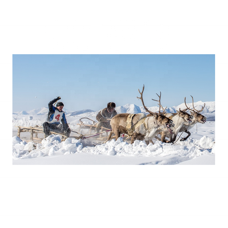 5-8 дней, полюс холодной экспедиции Sakha Yakutia, деловые дорожные услуги