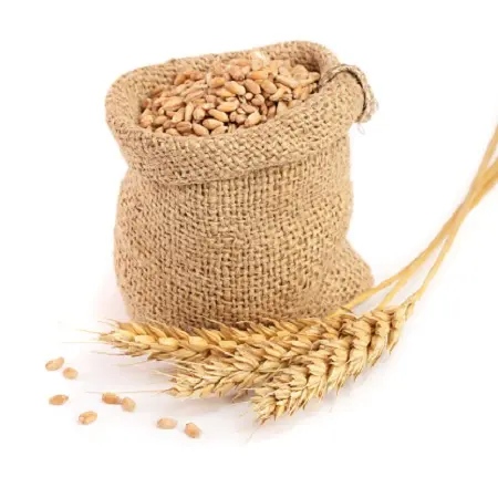 European Best Grade  Wheat Grain