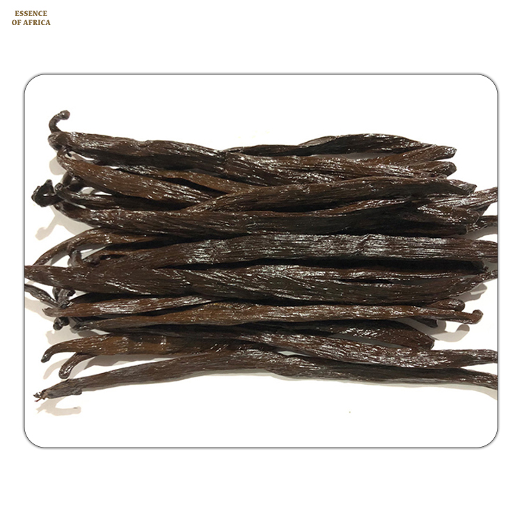 Premium Gourmet Vanilla Beans High Quality Bulk Bourbon Vanilla Pods Perfect for making Homemade Vanilla Extracts
