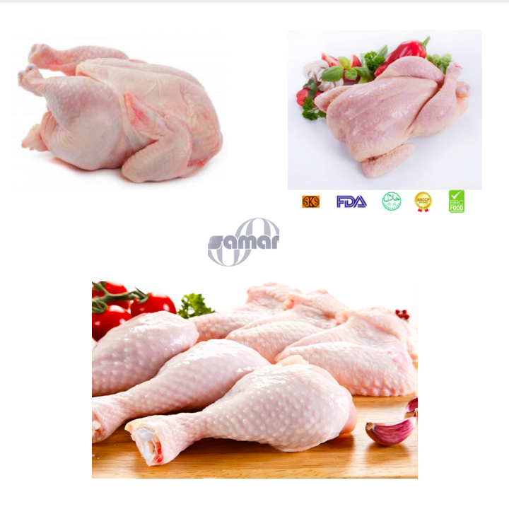 Buy best frozen chicken from brazil