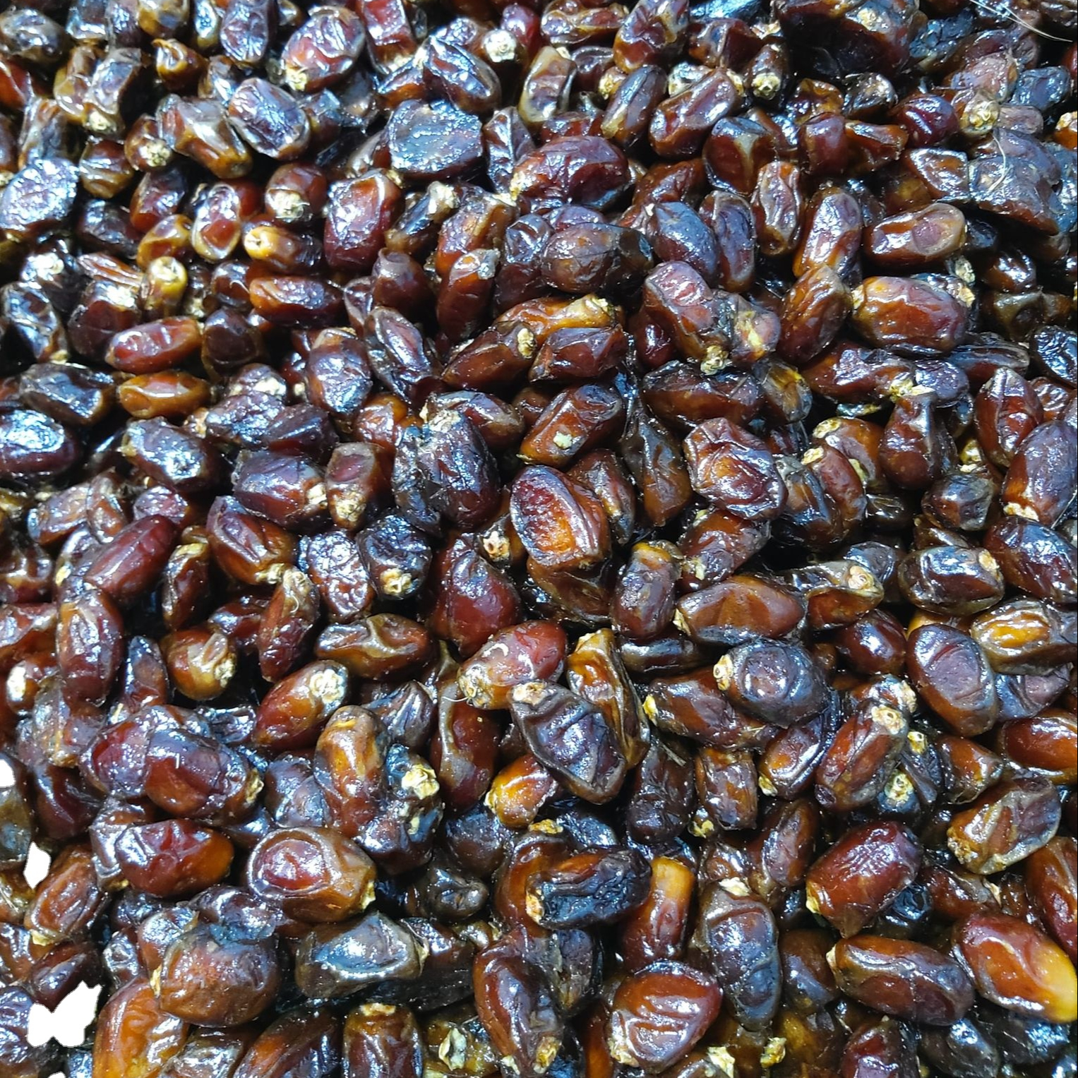 animal feed dry dates
