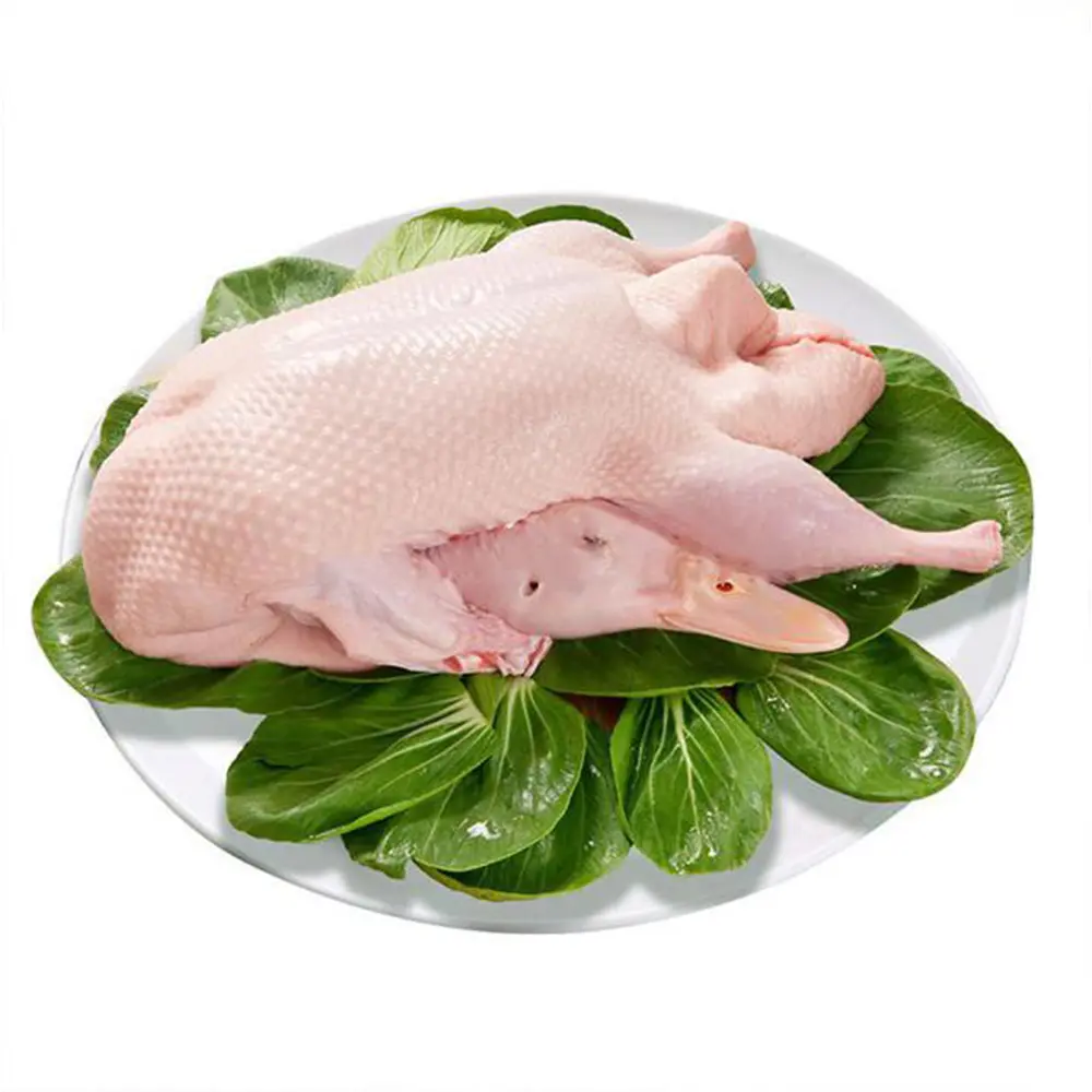 Frozen Duck meat supply wholesale