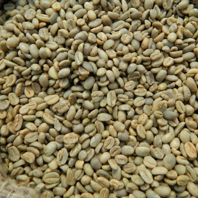 Зеленые кофейные зерна robusta