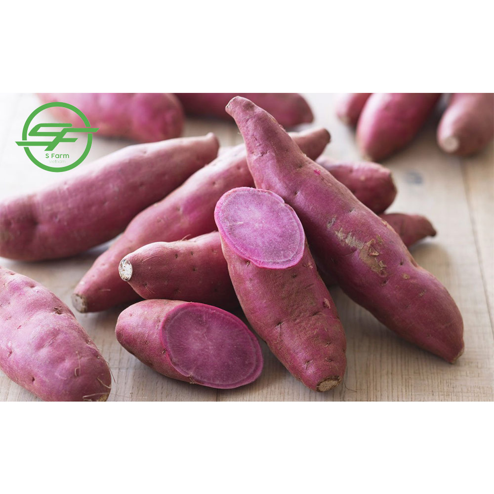 Eco Friendly Sweet Potato Buyers Organic Sweet Potatoes