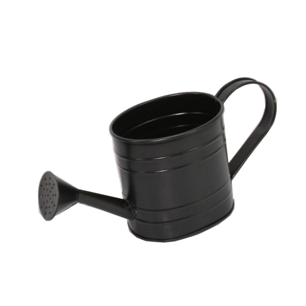 Hot Sale Metal Watering Can For Home Garden