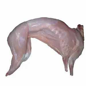 Halal Frozen Whole Rabbit Meat Processed Meat