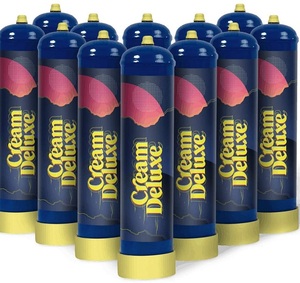 Hot Selling 580g Nitrous Oxide N2O Whipped Cream Chargers for UK
