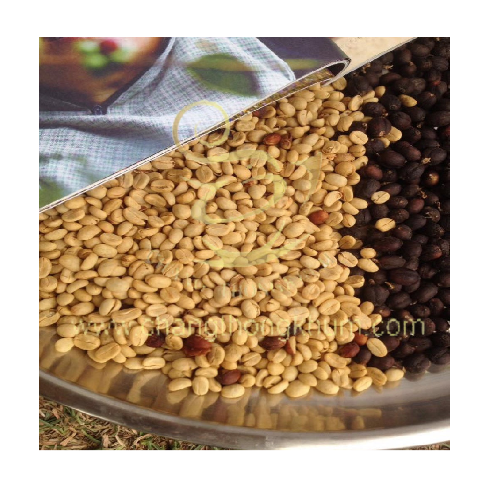 ChangthongkhumThe Best Premium Quality of Arabica Green Coffee Beans product from Thailand