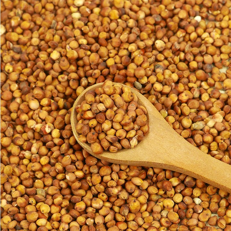 Белый Рис Сорго для продажи, сорго
