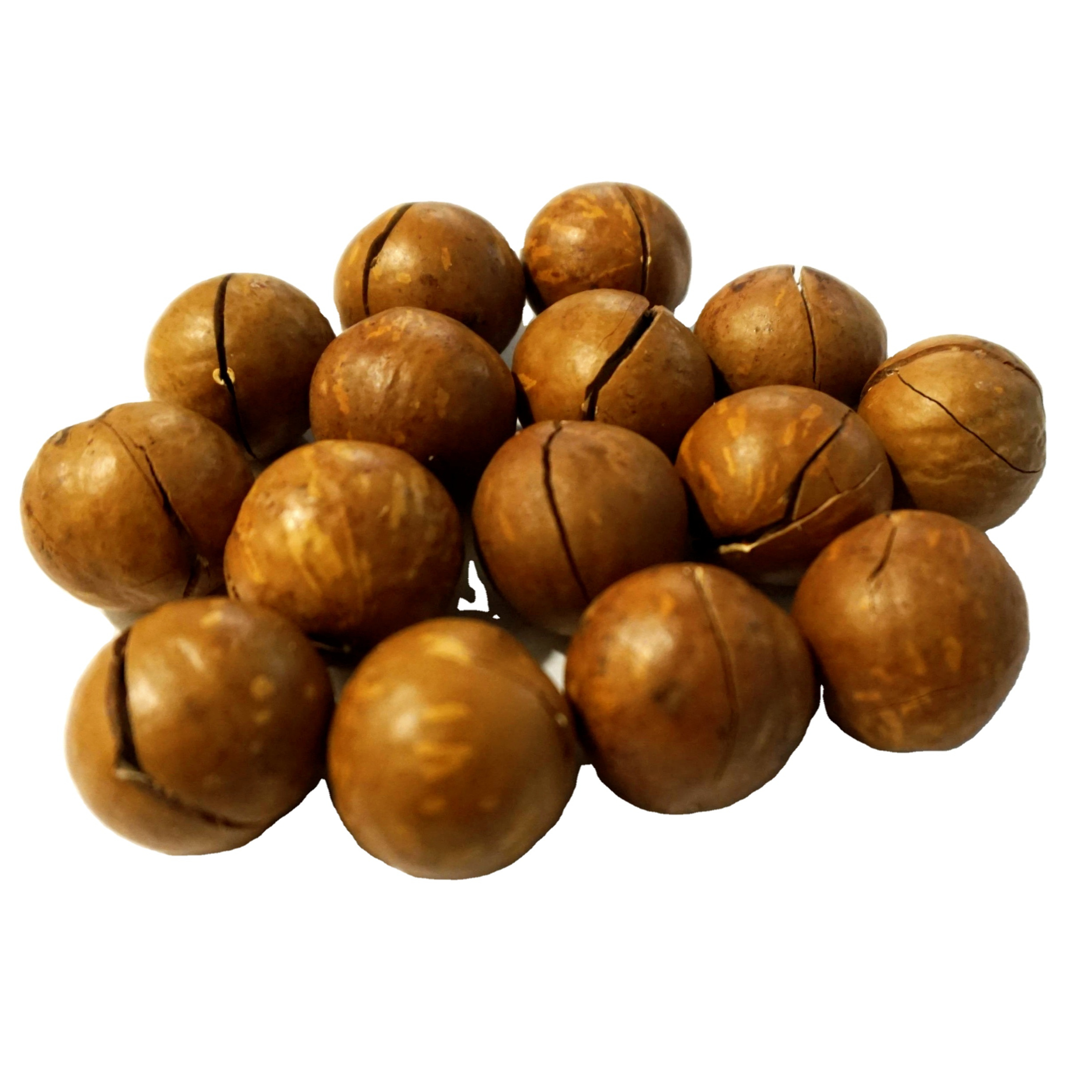 Орехи Maccadamia высокого качества, сделанные во Вьетнаме