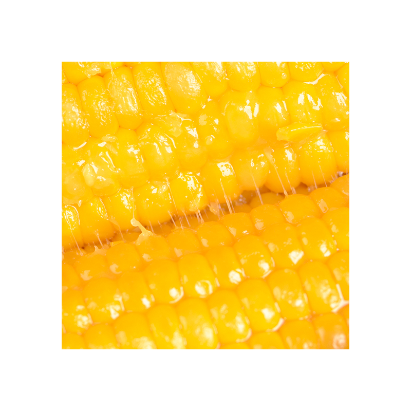 Production of fresh yellow corn sweet corn yellow maize wholesale