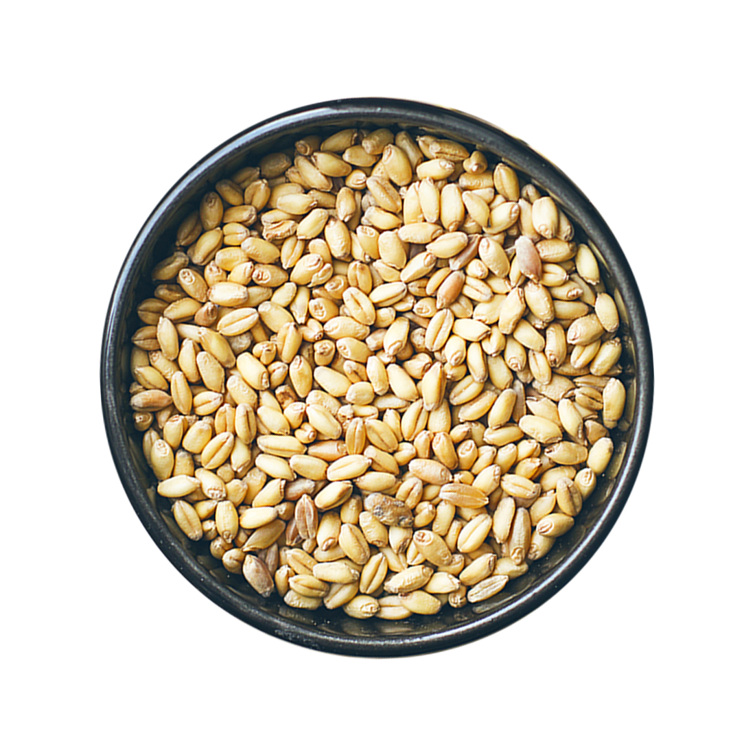 Triple-cleaned Non-GMO Wheat grains seeds wholesale healthy food natural bulk organic non-GMO cereal grains