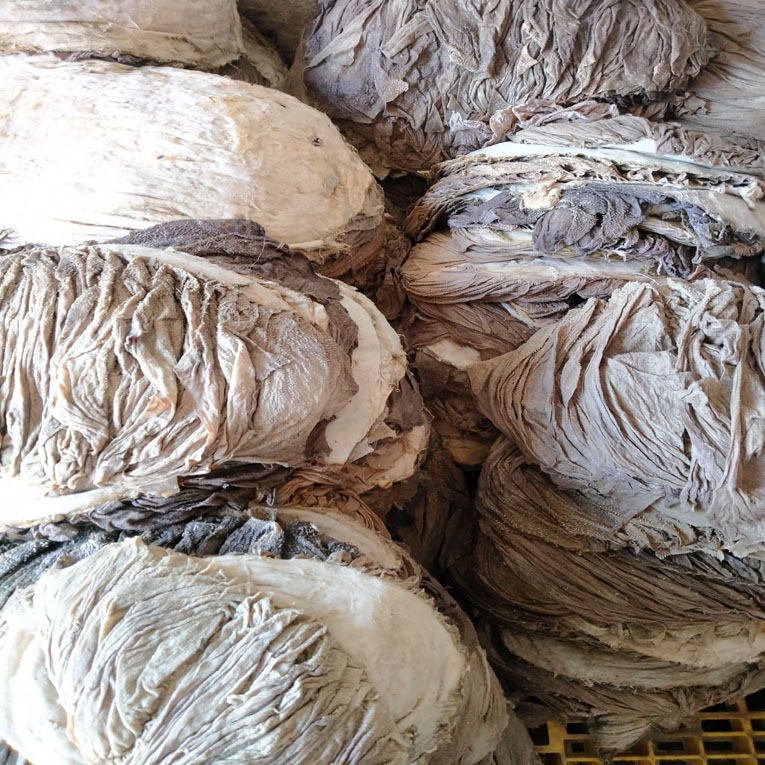 Sell Omasum from Pakistan Buffalo Omasum Wholesale salted & dried omasum