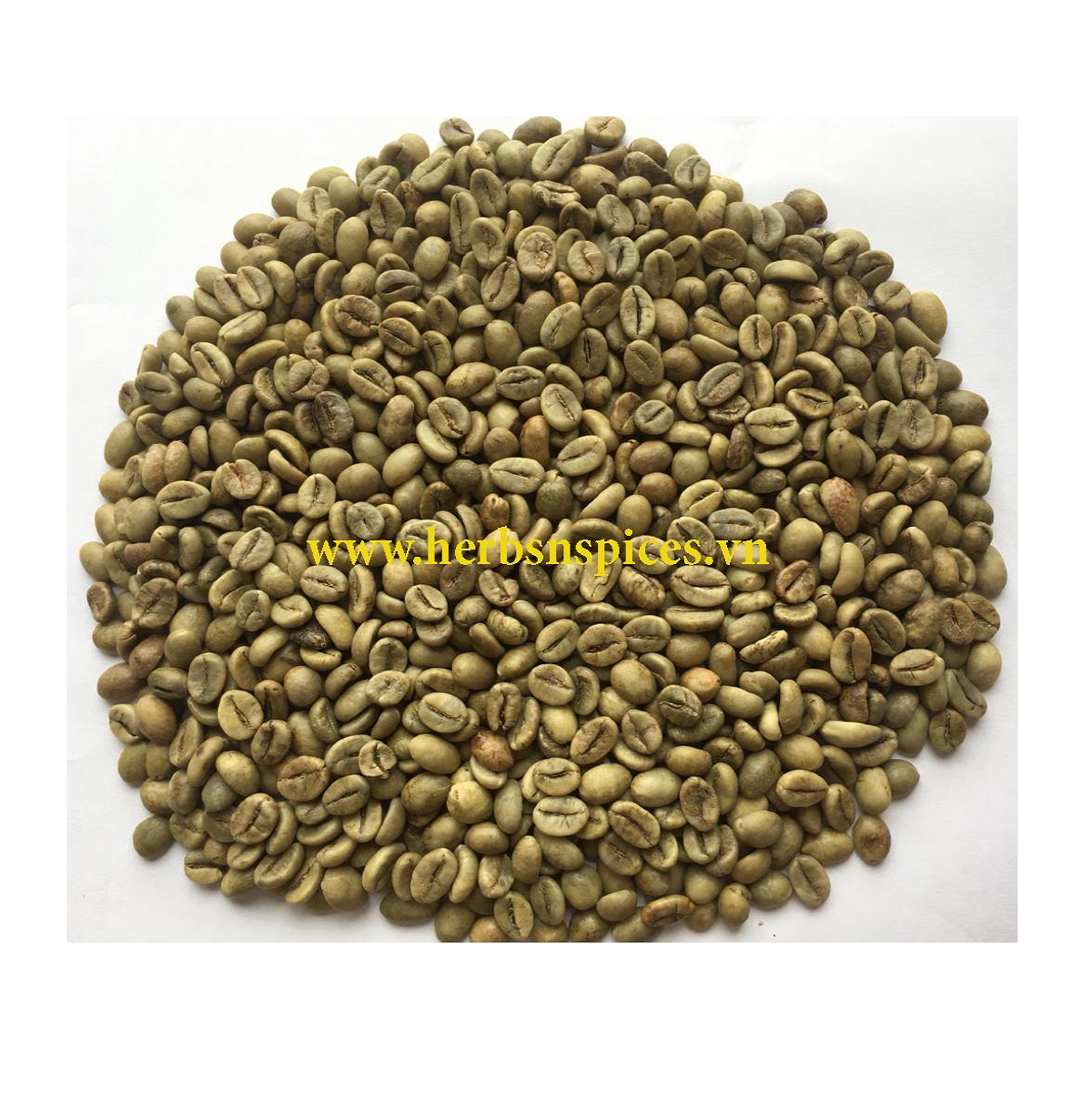 Оптовая продажа, вьетнамский КОФЕ Robusta S16/ 18 высокого качества