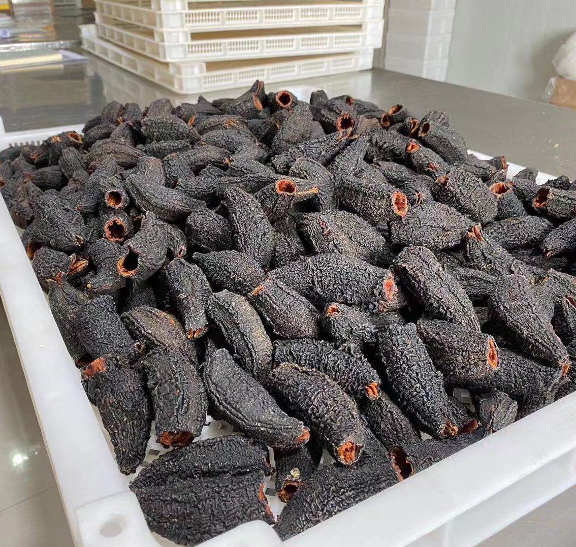 fresh,frozen and dried sea cucumber for sale at wholesale price