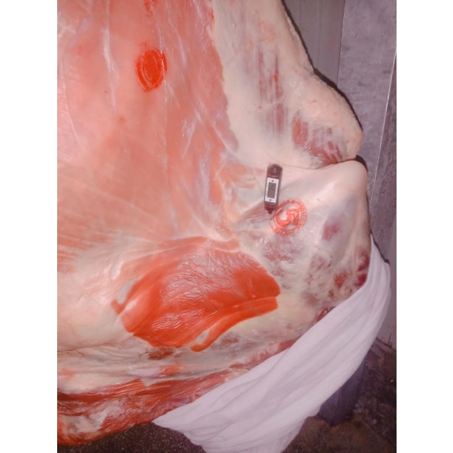 Processed HALAL Frozen Beef / HALAL Frozen Buffalo Meat / Boneless HALAL Frozen Buffalo Meat