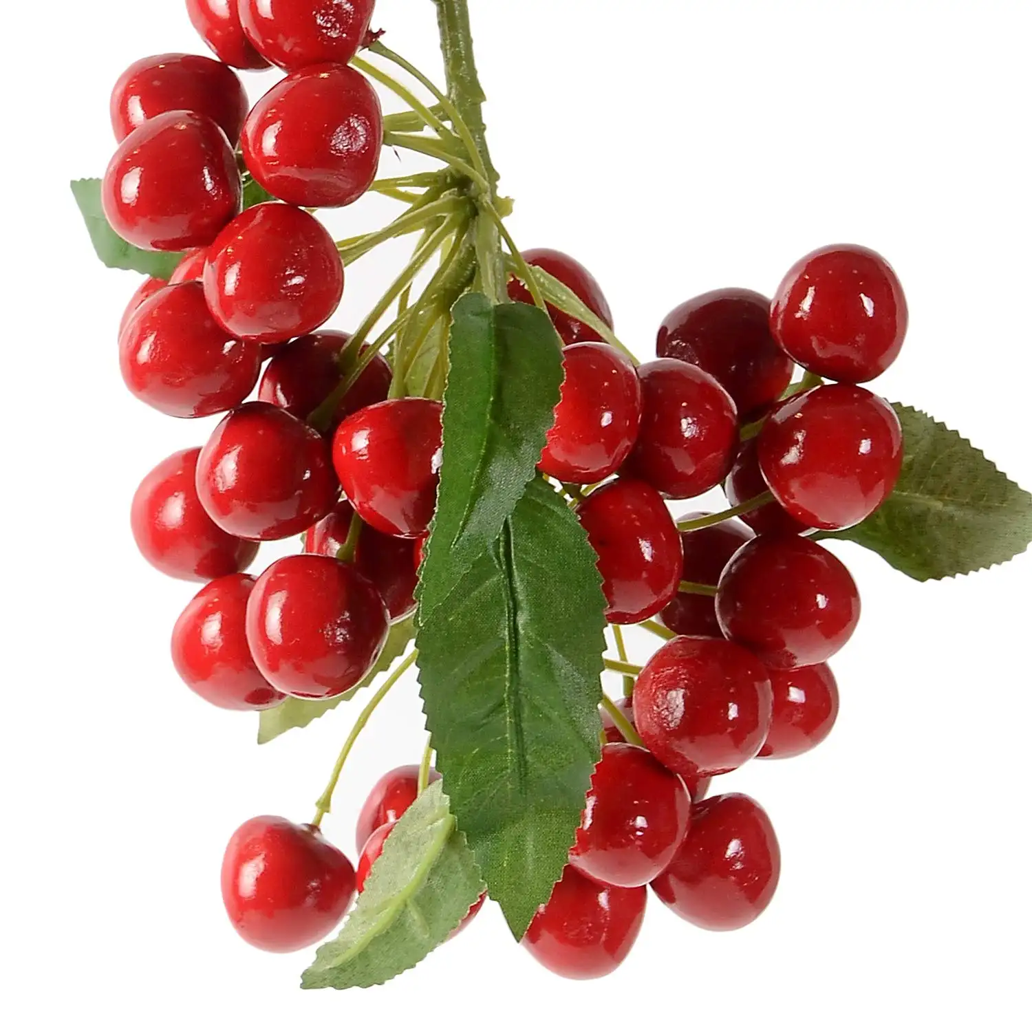 best quality fresh cherries for sale