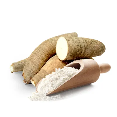 Cassava flour / Cassava starch / Ms.Holiday in 2021