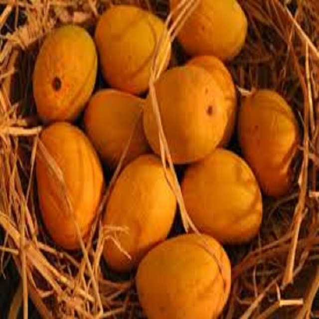 Свежие манго Alphonso по лучшей цене